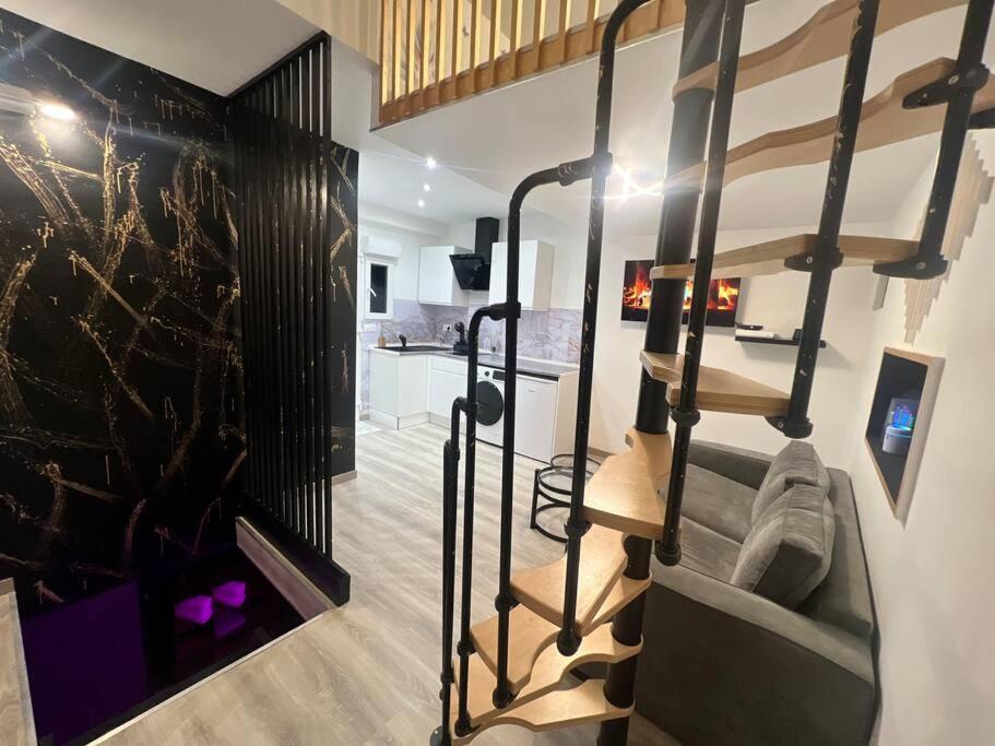 Maison Appartement Triplex Avec Jacuzzi Et Sauna Сент-Этьен Экстерьер фото